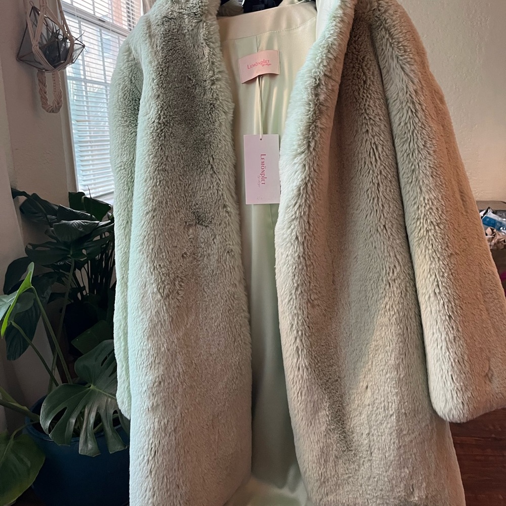 Open Ceremony- faux fur coat. Brand new. Small